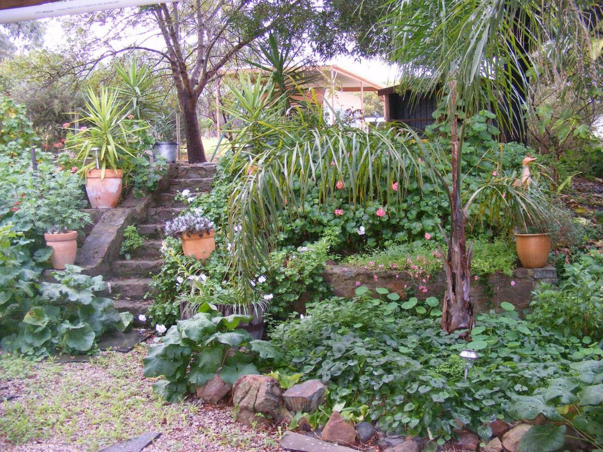 Trevalia Accommodation Penwortham Buitenkant foto