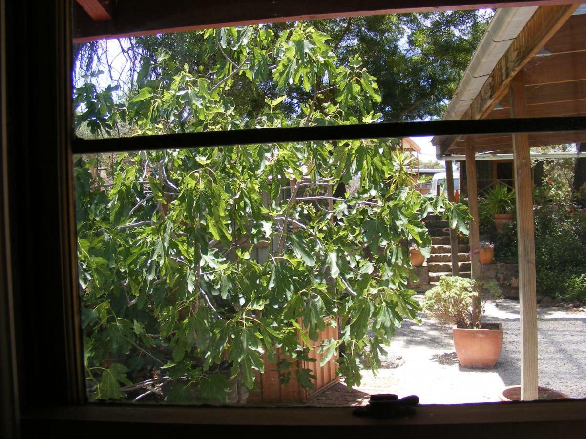 Trevalia Accommodation Penwortham Buitenkant foto